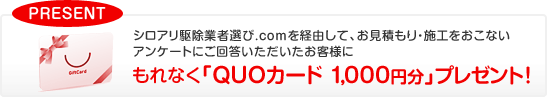 もれなく「QUOカード 1,000円分」プレゼント！