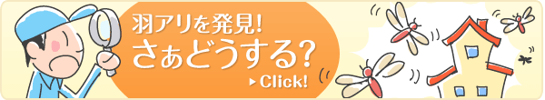 羽アリを発見！さぁどうする？