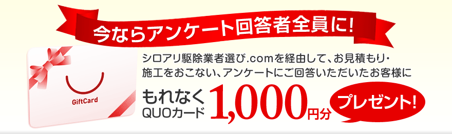 今ならアンケート回答者にQUOカードプレゼント！