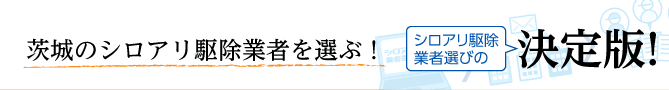 全国の優良企業から選べる！シロアリ駆除業者選びの決定版！