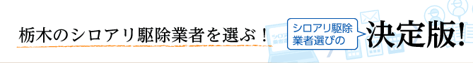 全国の優良企業から選べる！シロアリ駆除業者選びの決定版！