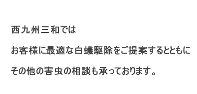 西九州三和ではお客様に最適な白蟻駆除をご提案するとともにその他の害虫の相談も承っております。