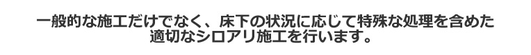 一般的な施工だけでなく、床下の状況に応じて特殊な処理を含めた適切なシロアリ施工を行います