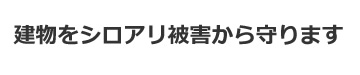 建物をシロアリ被害から守ります