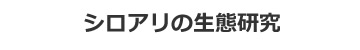 シロアリの生態研究