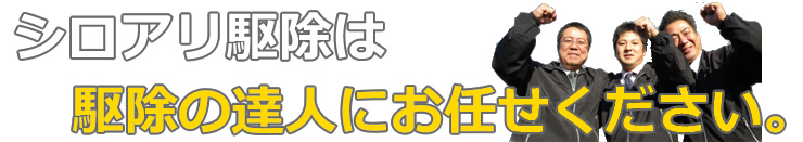 シロアリ駆除は駆除の達人にお任せください