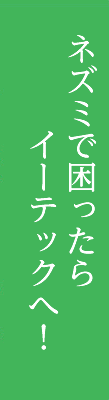 社内研修を定期的に行っております