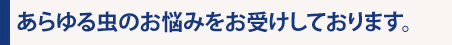 あらゆる虫のお悩みをお受けしております。