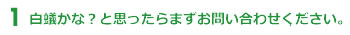 白蟻かな？と思ったらまずお問い合わせください。