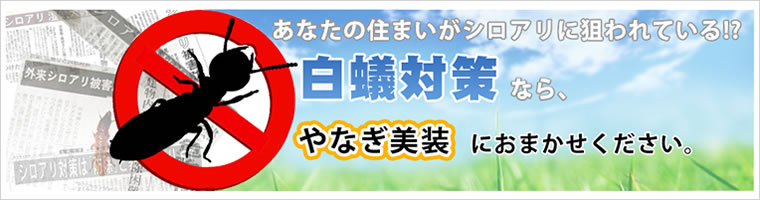 あなたの住まいがシロアリに狙われている。白蟻対策ならやなぎ美装へ