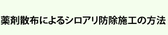 薬剤散布によるシロアリ防除