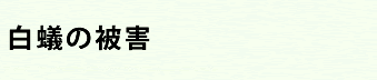 姿を見せず、音も立てず　白蟻は住まいを破壊します！！