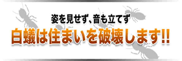 白蟻は住まいを破壊します！