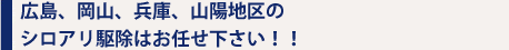 広島、岡山、兵庫、山陽地区のシロアリ駆除はお任せ下さい。