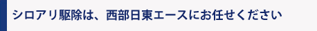 シロアリ駆除は西部日東エースにお任せ下さい！！