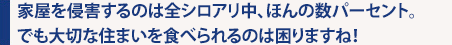 家屋を侵害するのは全シロアリ中、ほんの数パーセント。でも大切な住まいを食べられるのは困りますね！