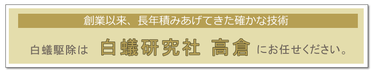 白蟻駆除は白蟻研究社高倉にお任せ下さい