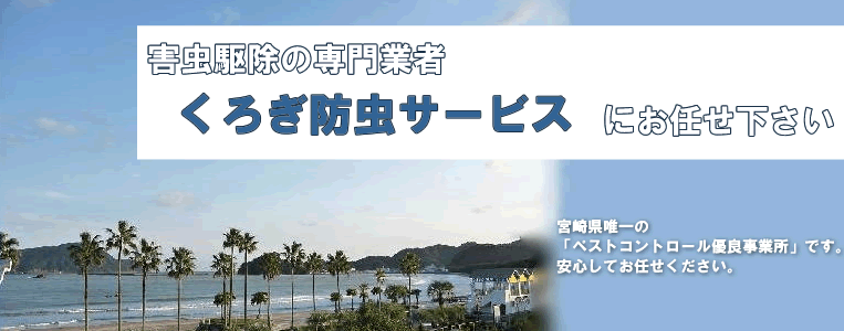 宮崎県の害虫駆除専門業者くろぎ防虫サービスにお任せください