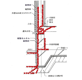 基礎断熱のシロアリ被害