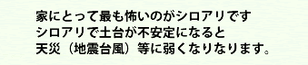 家にとって最も怖いのはシロアリです。