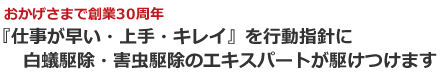 仕事が早い・上手・キレイを行動指針に白蟻駆除・害虫駆除のエキスパートが駆けつけます