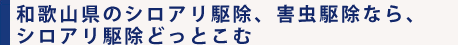 和歌山県のシロアリ駆除、害虫駆除なら、
シロアリ駆除どっとこむ