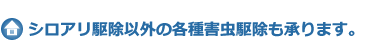 シロアリ駆除以外の各種害虫駆除も承ります