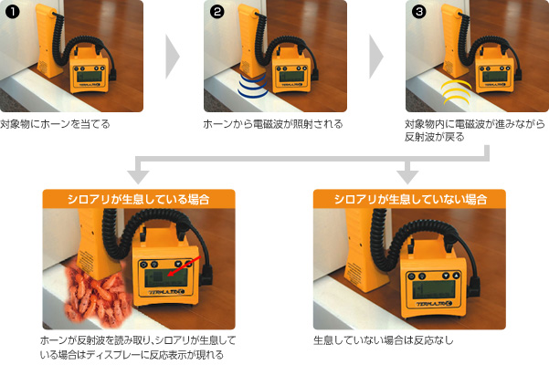 ターマトラックを使った白蟻探知の仕組み