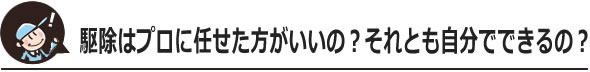 駆除はプロに任せたほうがいいの？それとも自分でできるの？