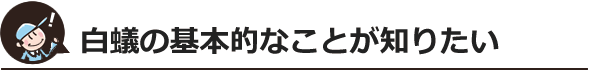 白蟻の基本的なことが知りたい